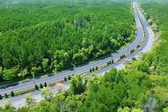 Vingroup đề xuất mở rộng đường Rừng Sác lên 10 làn xe