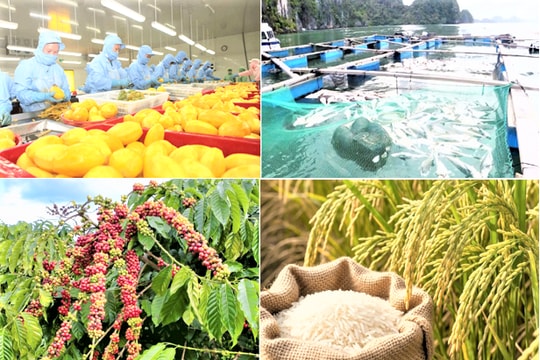 Kim ngạch xuất khẩu nông, lâm, thủy sản quý I/2026 tăng 5,9%