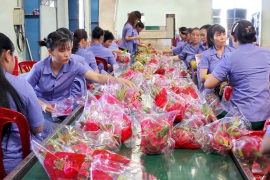 Việt Nam - tâm điểm trước làn sóng tái cấu trúc chuỗi cung ứng châu Á