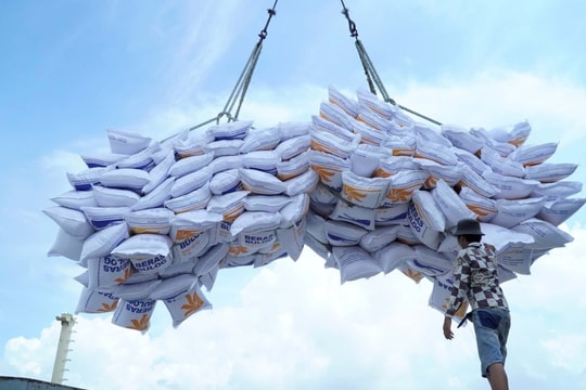 Xung đột Trung Đông có thể thúc đẩy nhu cầu nhập khẩu gạo dự trữ