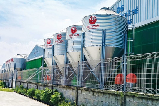 Từ tổ ấm đến thương hiệu: Hành trình của một doanh nghiệp gia đình Việt