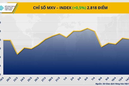 MXV-Index đảo chiều tăng khi dòng tiền trở lại thị trường