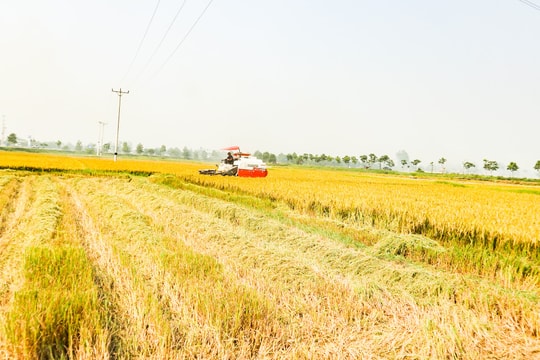 Nông nghiệp Việt trước ngưỡng chuyển đổi lớn