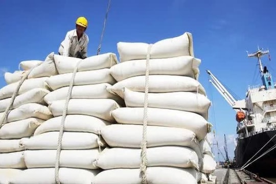 Thị trường gạo châu Á phân hóa, giá gạo xuất khẩu của Việt Nam tăng nhẹ