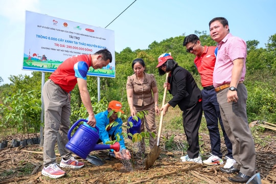 Dai-ichi Life Việt Nam trồng 6.000 cây xanh, thúc đẩy phát triển bền vững