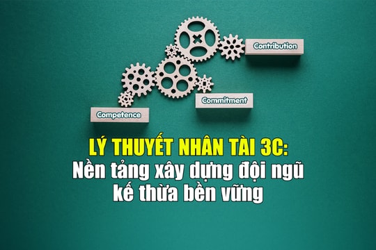 Lý thuyết nhân tài 3C: Nền tảng xây dựng đội ngũ kế thừa bền vững