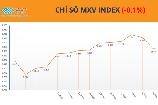 Giá ca cao tăng phiên thứ 8 liên tiếp, MXV-Index giảm nhẹ