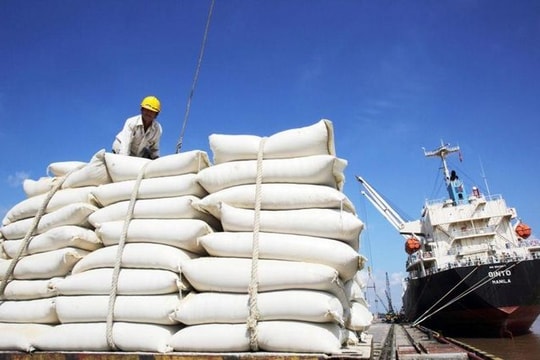 Giá gạo xuất khẩu Việt Nam bật tăng trở lại