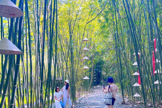 Làng tre Phú An - Một “khoảng lặng” xanh gần đô thị