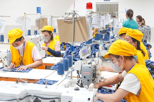 Mức độ liên kết giữa các doanh nghiệp TP.HCM còn lỏng lẻo, thiếu những chuỗi hợp tác thực chất