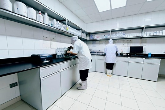 SAPUWA: Bản lĩnh tiên phong và hành trình thích ứng xanh của thương hiệu nước tinh khiết 34 năm tuổi