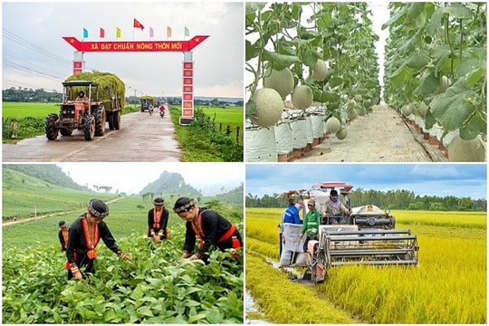 TP.HCM tăng cường giải pháp giảm nghèo bền vững giai đoạn 2026 - 2030