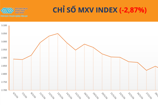 MXV-Index lùi về 2.820 điểm trong tuần giao dịch đầy biến động