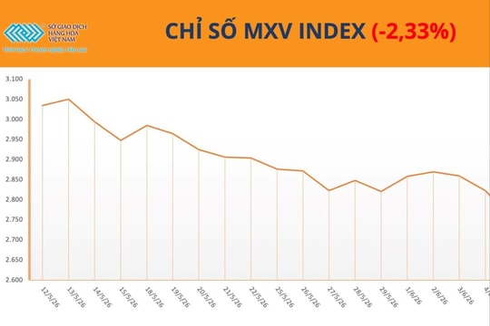 Dòng tiền đổ mạnh vào cà phê, MXV-Index giảm 2,3%