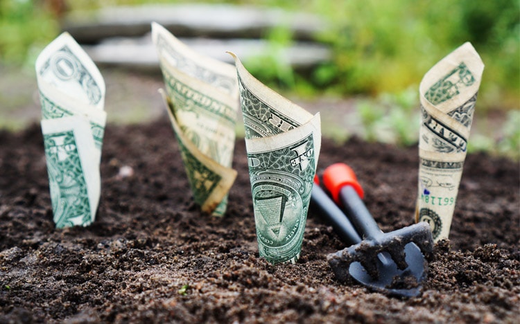 17 tài trí làm giàu căn bản