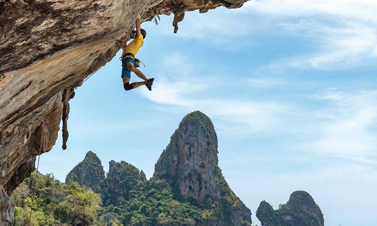 Tố chất cần thiết để phát triển sự nghiệp