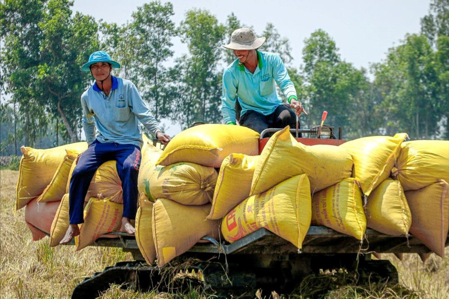 Bộ Nông nghiệp và Phát triển nông thôn đề xuất tăng cường xuất khẩu gạo