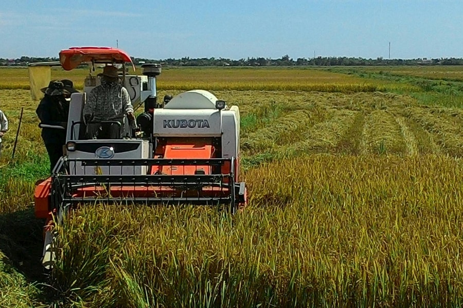 Ngành nông nghiệp Việt Nam thiếu lao động chất lượng cao