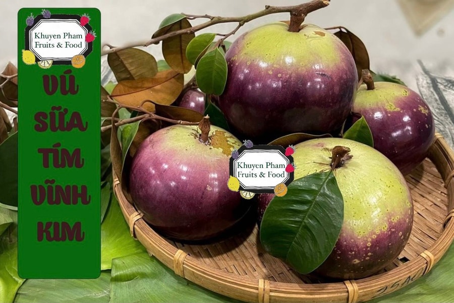 Trái cây Khuyên Phạm: Cam kết uy tín, chất lượng