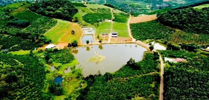 Về Phượng Vân như “trở về nhà”