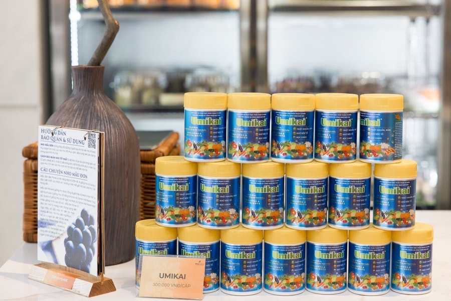 Sống có hiếu: Tôn vinh lòng biết ơn và truyền thống hiếu đạo của người Việt