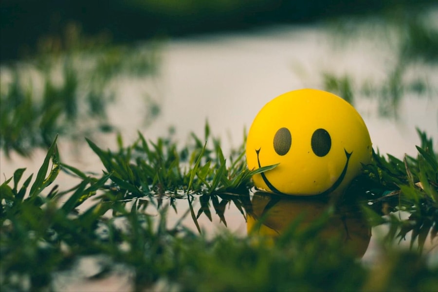 Làm sao để biến stress thành động lực làm việc?