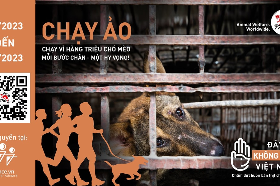 Hơn 16.000 người tham gia giải chạy trực tuyến “Run for millions - Chạy vì hàng triệu chó, mèo"