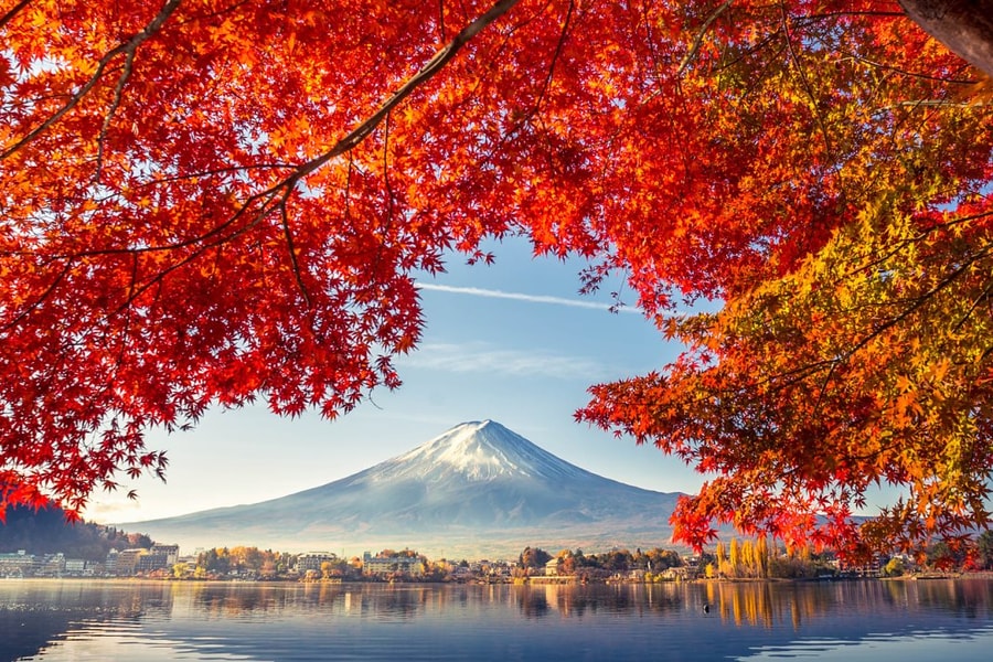 Nhật Bản áp dụng chính sách e-visa cho du khách Việt Nam