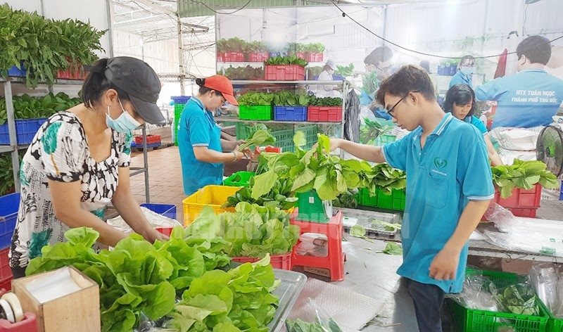 TP.HCM lần đầu triển khai tổ chức giải thưởng Thương hiệu vàng nông nghiệp