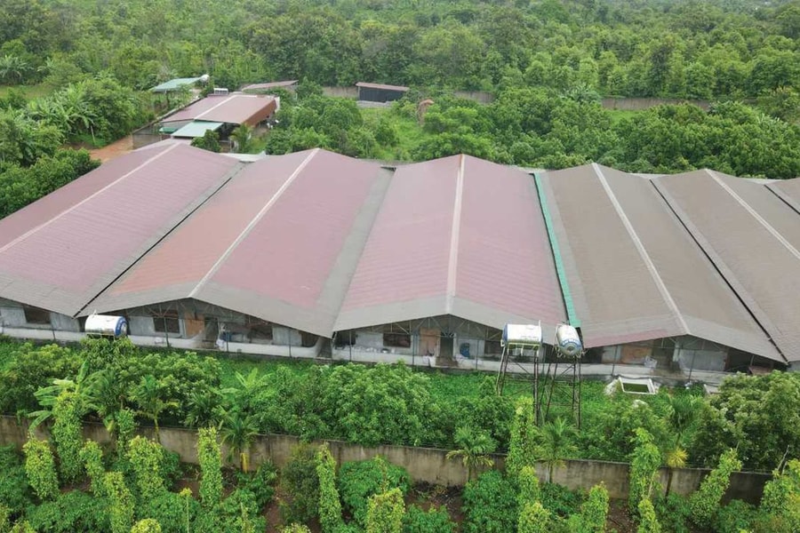 Vốn khó, bó khôn