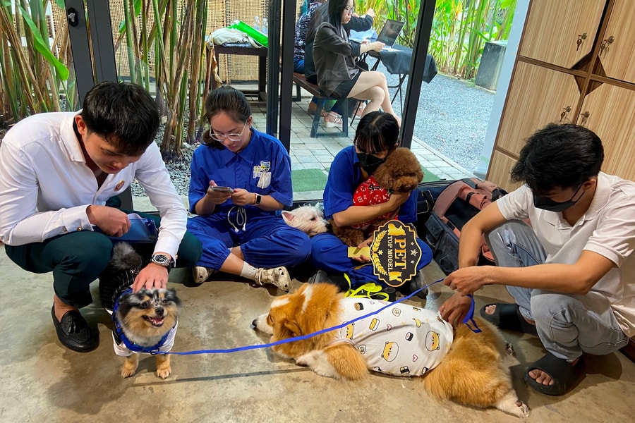 Khai mở ngành công nghiệp thú cưng đầy tiềm năng