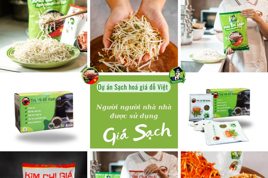 Sạch hóa giá đỗ Việt: Mang giá đỗ sạch đến với cộng đồng