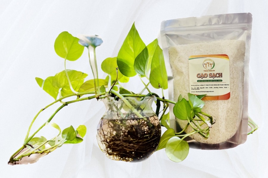 Thuận Thiên Phú: Đưa sản phẩm Việt đến thị trường quốc tế