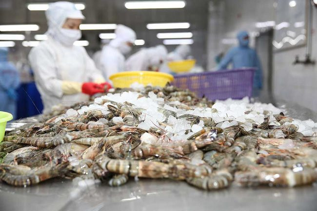 Việt Nam trở thành quốc gia xuất khẩu tôm lớn thứ hai thế giới