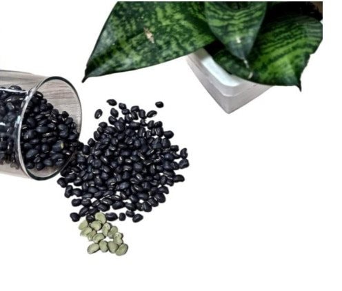 Phú Minh Tâm: Cung cấp thực phẩm hỗ trợ sức khỏe