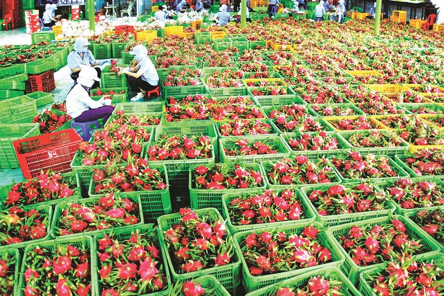 Bốn yếu tố giúp doanh nghiệp trụ vững tại Trung Quốc