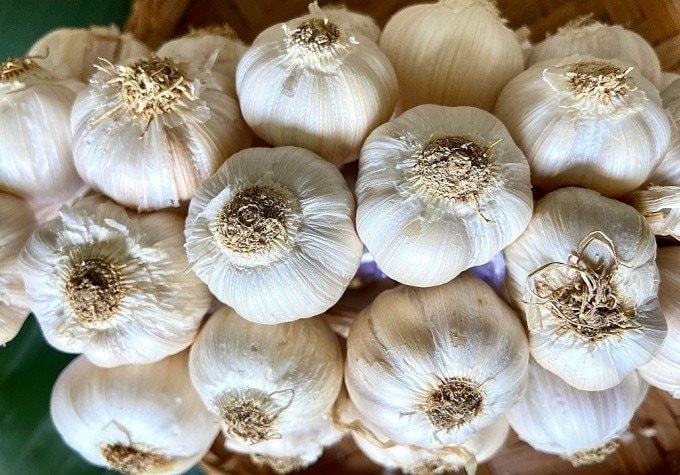 Giá hành tỏi tăng cao vào dịp Tết dương lịch