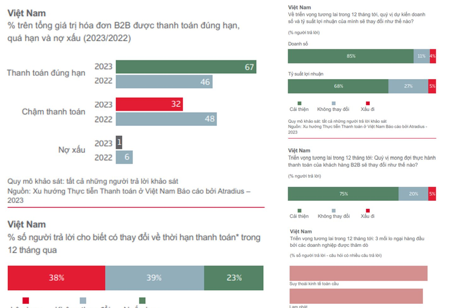 Doanh số bán hàng B2B trả chậm của Việt Nam đạt 67%