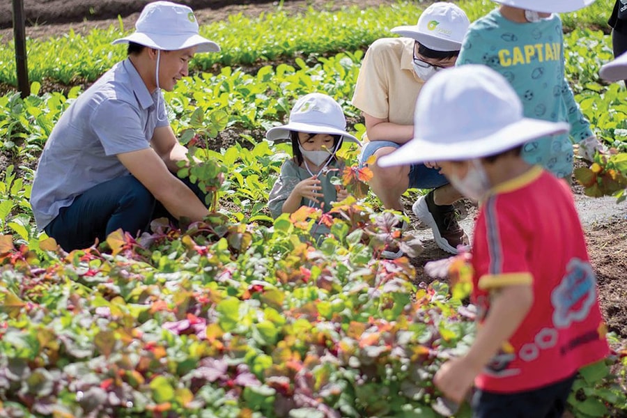 Một ngày ở trang trại xanh