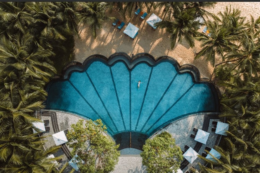 Lamarckian Oasis: Đẳng cấp và nâng tầm trải nghiệm