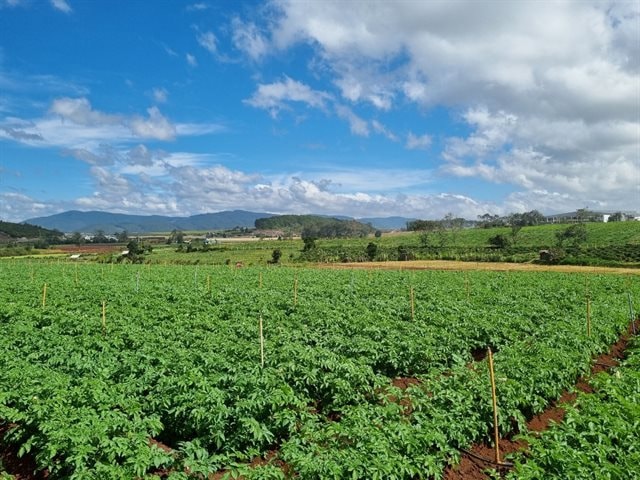 Orion Vina hợp tác với Học viện Nông nghiệp Việt Nam đầu tư phát triển khoai tây bền vững