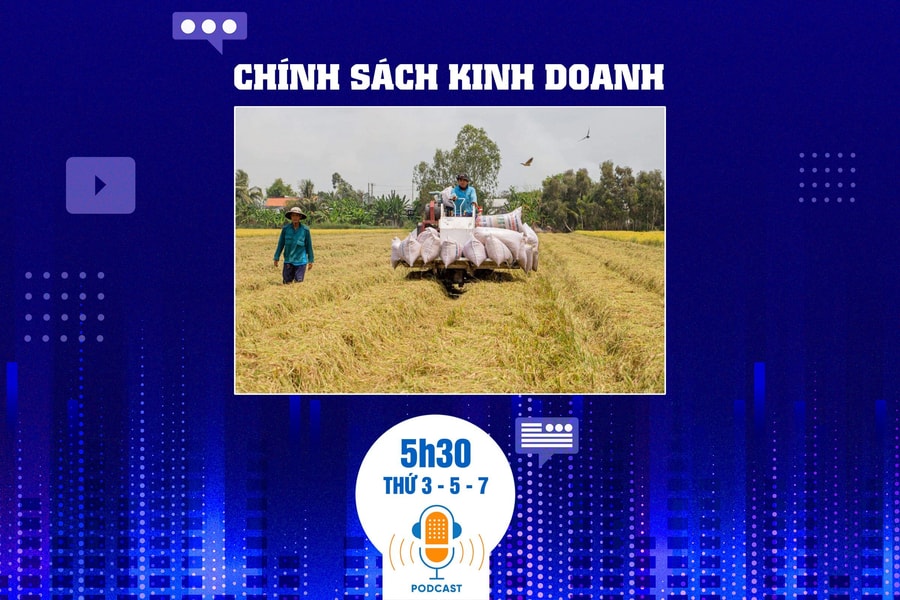 Bản tin Chính sách kinh doanh ngày 30/04: Việt Nam sẽ có sản phẩm “lúa giảm phát thải” đầu tiên vào tháng 8/2024