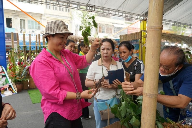 Dược liệu Hồng Phát mang sâm Ngọc Linh tươi đến hội chợ quốc tế