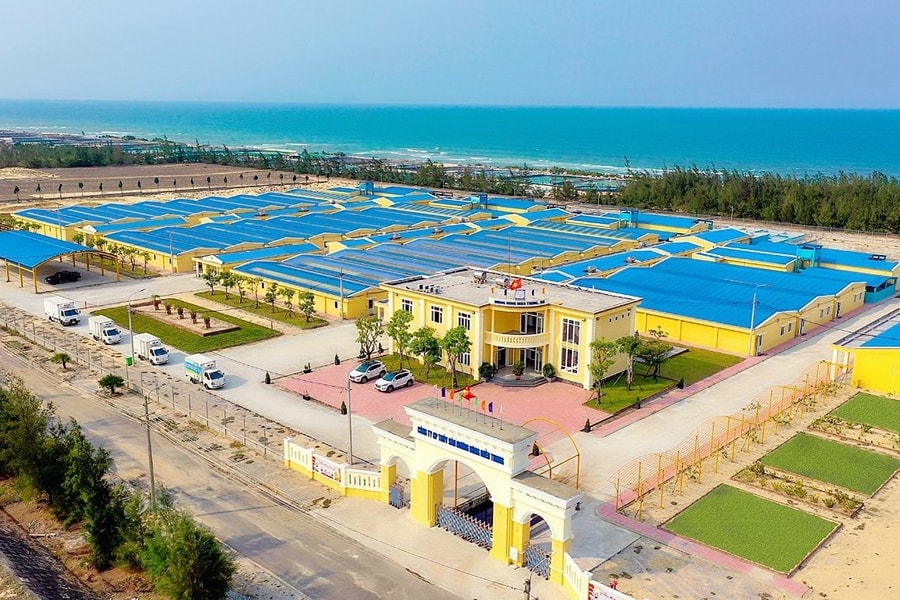 Mebi Group nhập tôm bố mẹ từ Florida (Mỹ) để sản xuất tôm giống Việt Nam