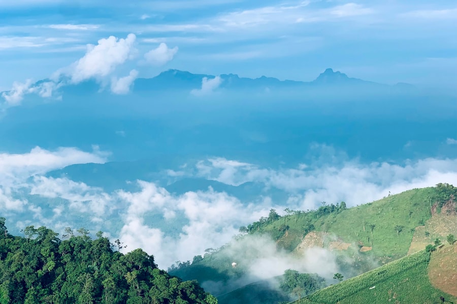 Chung tay thực hiện Chiến dịch “Vì một Việt Nam xanh và phát triển bền vững”