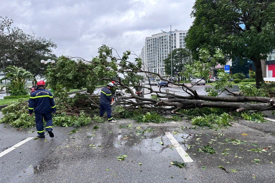 TP.HCM cử nhiều lực lượng hỗ trợ các địa phương khắc phục hậu quả bão số 3
