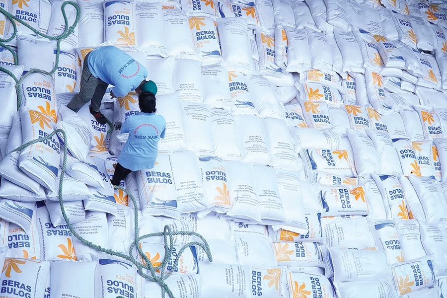 Việt - Thái - Ấn: Cuộc đua giành thị trường gạo Philippines