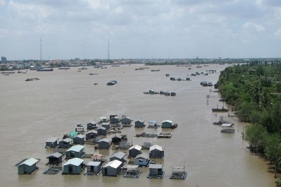 Cảnh báo nguy cơ lũ do nước sông Cửu Long dâng cao