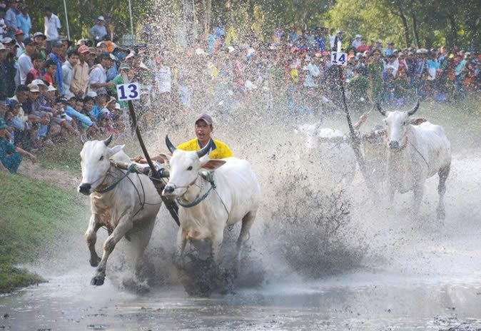 An Giang: Điểm đến hấp dẫn của các nhà đầu tư chiến lược