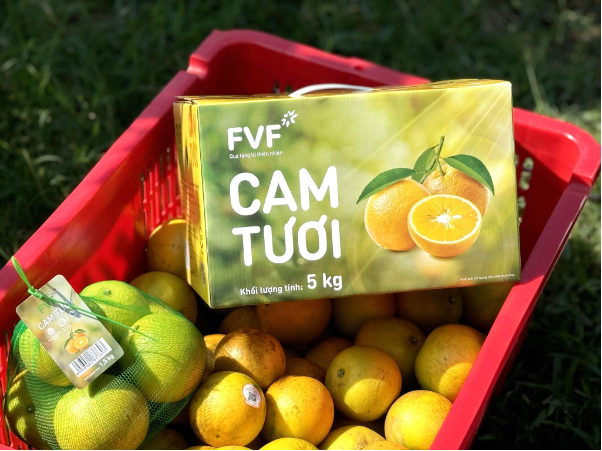 Vườn cam lớn nhất miền Trung của Tập đoàn TH: Chất lượng thuộc hàng "tiến vua"